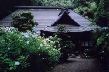 あじさい寺の 琵琶の音響け 箱根山