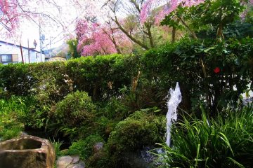 大平台の水と温泉