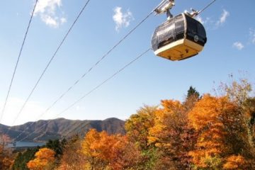紅葉が見ごろを迎える箱根