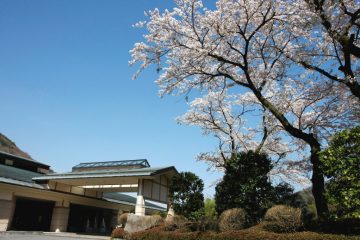 コロナ禍の一年、そしてこれから