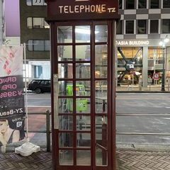 絶滅危惧種2 電話ボックス