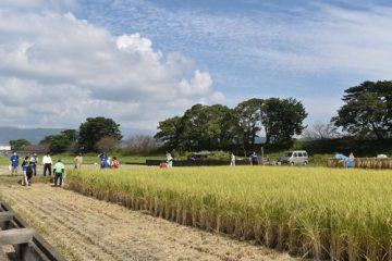 子育てパートナーを標榜する小田急電鉄が開催、〈小田急親子ゼミ〉