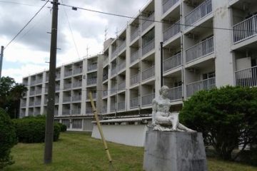 第20回 【成城シネマトリビア】 成瀬巳喜男作品に成城の風景を見つける