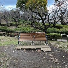 ベンチという劇場