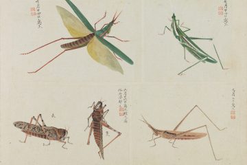 サントリー美術館「虫めづる日本の人々」