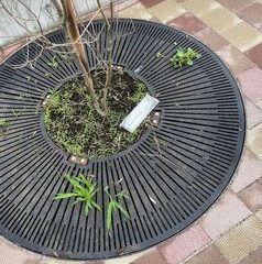 マスクの落とし物