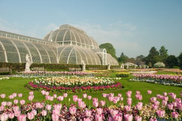 茨城県近代美術館「英国キュー王立植物園 おいしいボタニカル・アート 食を彩る植物のものがたり」