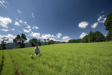 自然写真家・今森光彦のライフワークの集大成、「今森光彦 にっぽんの里山」東京都写真美術館で、6月20日(木)から。