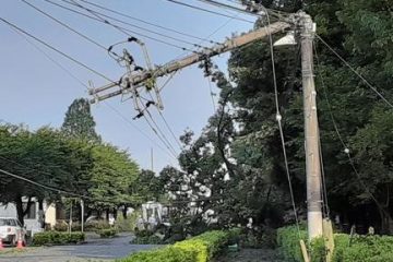 <自然災害から身を守るPart2> 大型台風、暴風の季節に備える屋外、屋内のチェックポイント + 窓を襲う飛来物からの防御法