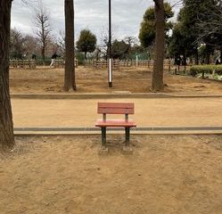 第53回【萩原朔美 スマホ散歩】お一人様用