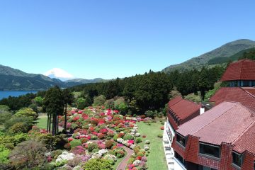 さぁ!春の箱根へ!ホテル開業77周年の〈小田急 山のホテル〉のツツジ・しゃくなげは4月下旬~5月下旬が見ごろ