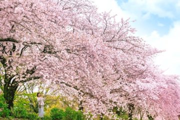 【お出かけ情報】厚木市・伊勢原市・秦野市を横断する丹沢・大山エリアでデジタルスタンプラリーに参加して春の自然を満喫する!「丹大はるさんぽ」開催は3月21日から