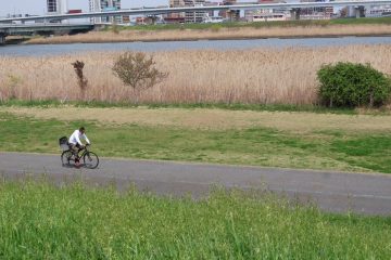 世界のホームラン王・王貞治の生誕の地「八広」を行けば、変貌著しい東京が見えてくる