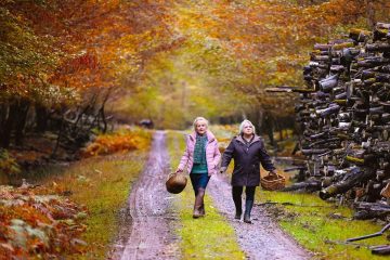 フランス映画の巨匠フランソワ・オゾン監督の新作『秋が来るとき』、人生の秋から冬に変わる女性二人の秘密とは