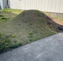 第60回【萩原朔美 スマホ散歩】ご近所の百名山。超低山編。