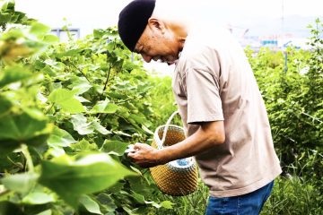ドキュメンタリー『わたのまち、応答セヨ』
