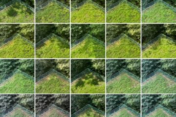 第33回【キジュを超えて】まだまだ学べ ─萩原 朔美の日々