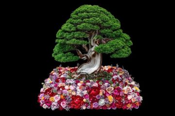 【お出かけ情報】日本の伝統文化〈BONSAI〉とフラワーデザインが交わるアートを堪能する。〈ニコライ バーグマン 箱根 ガーデンズ〉の10日間