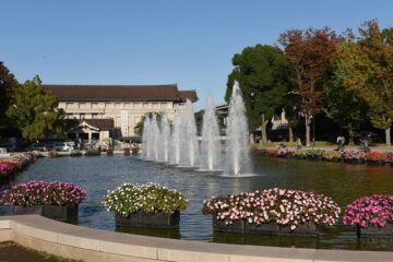 【秋のお出かけ情報】大人の美術館巡り②(上野公園界隈)