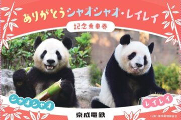 1月25日(日)が上野動物園のパンダお別れの日!京成電鉄が「ありがとう シャオシャオ・レイレイ記念乗車券」を1月16日(金)から期間限定発売!